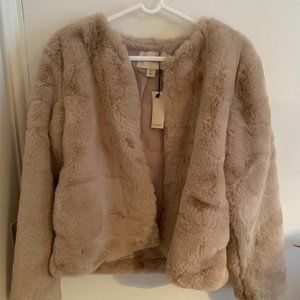 Oasis Womens Cream and Tan Jacket